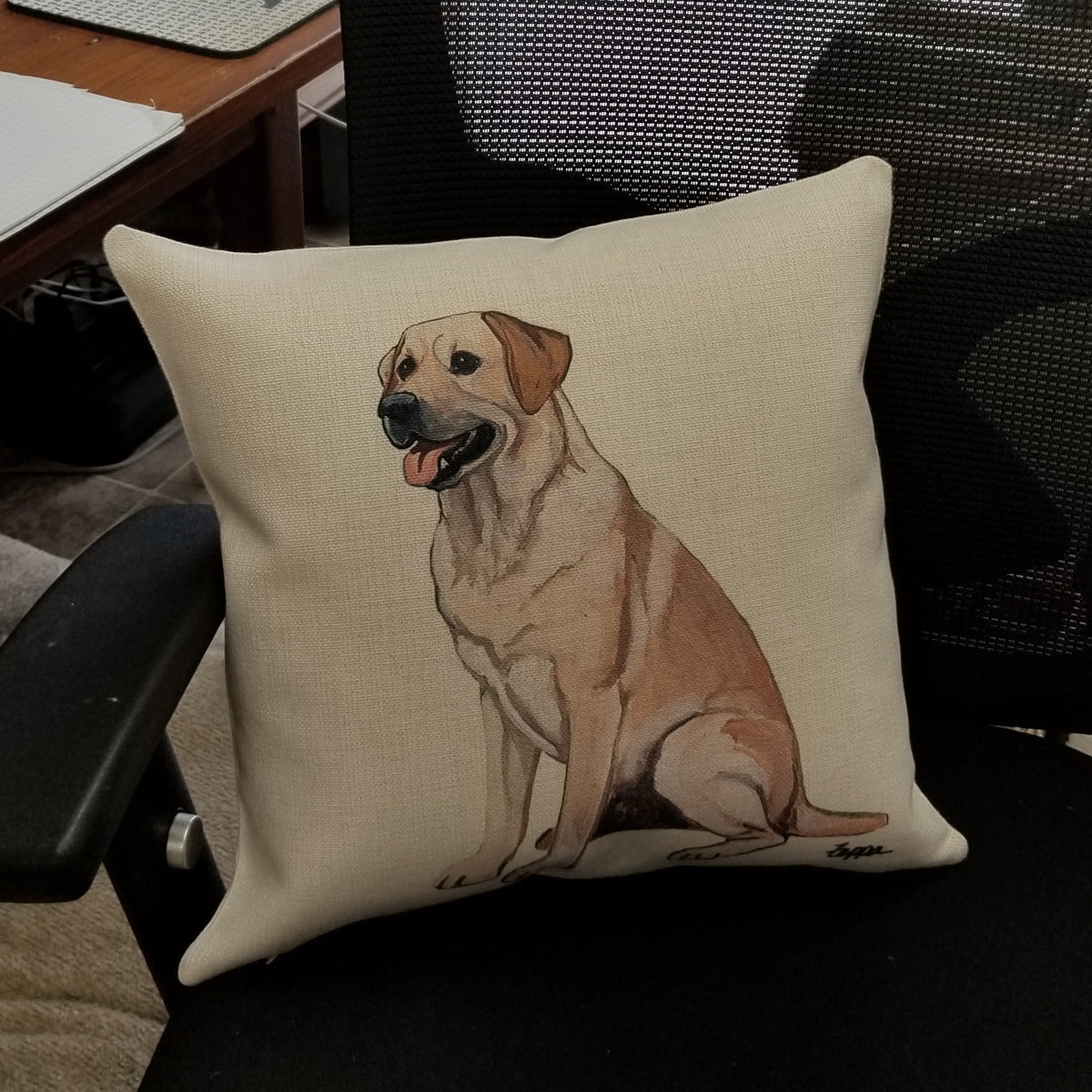 Decorative Pillows