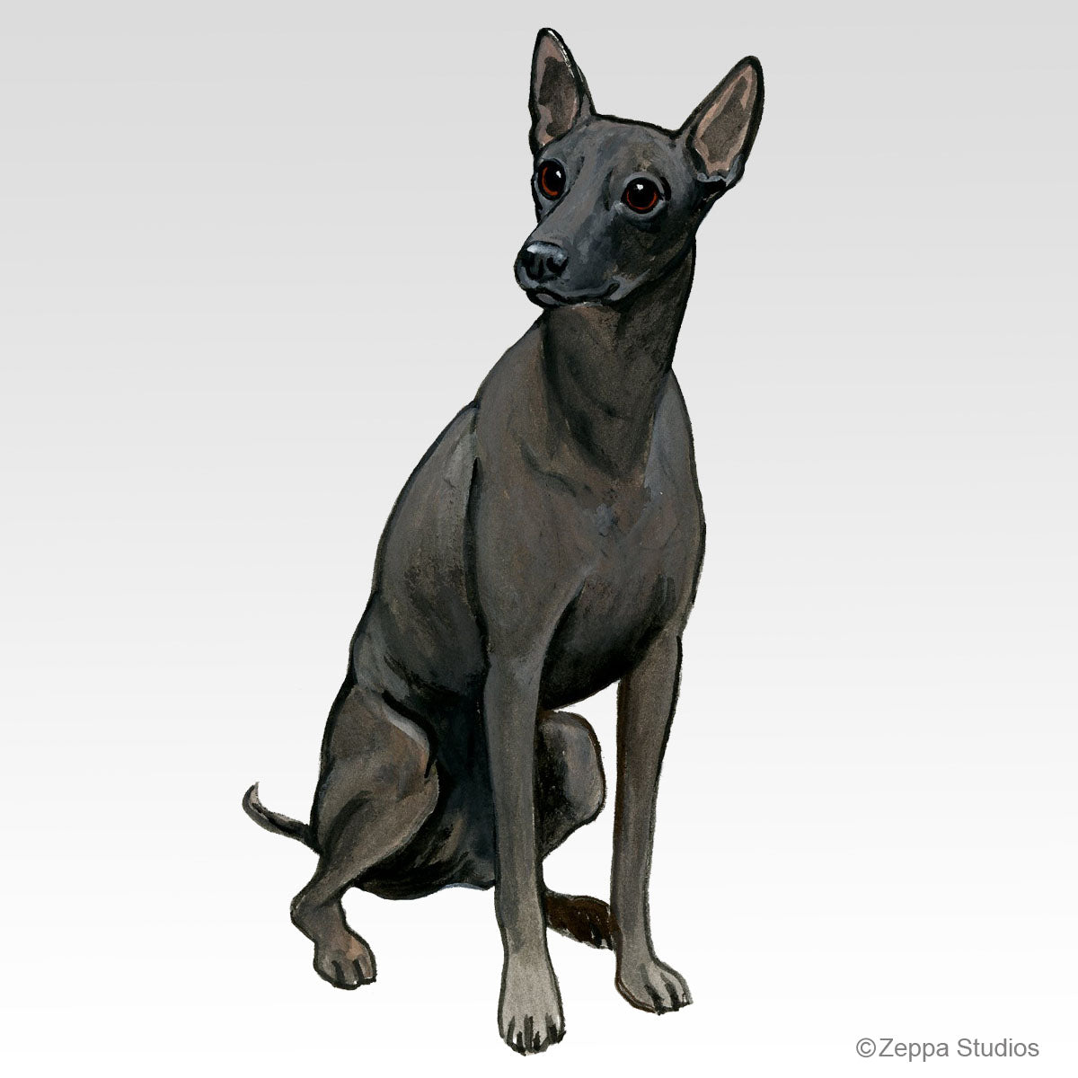 Xoloitzcuintli Gifts