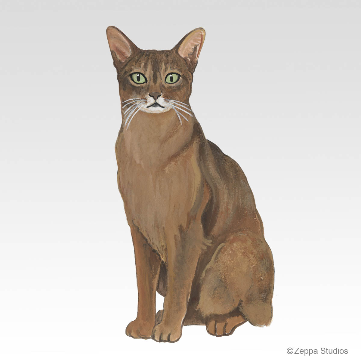 Abyssinian Cat Design