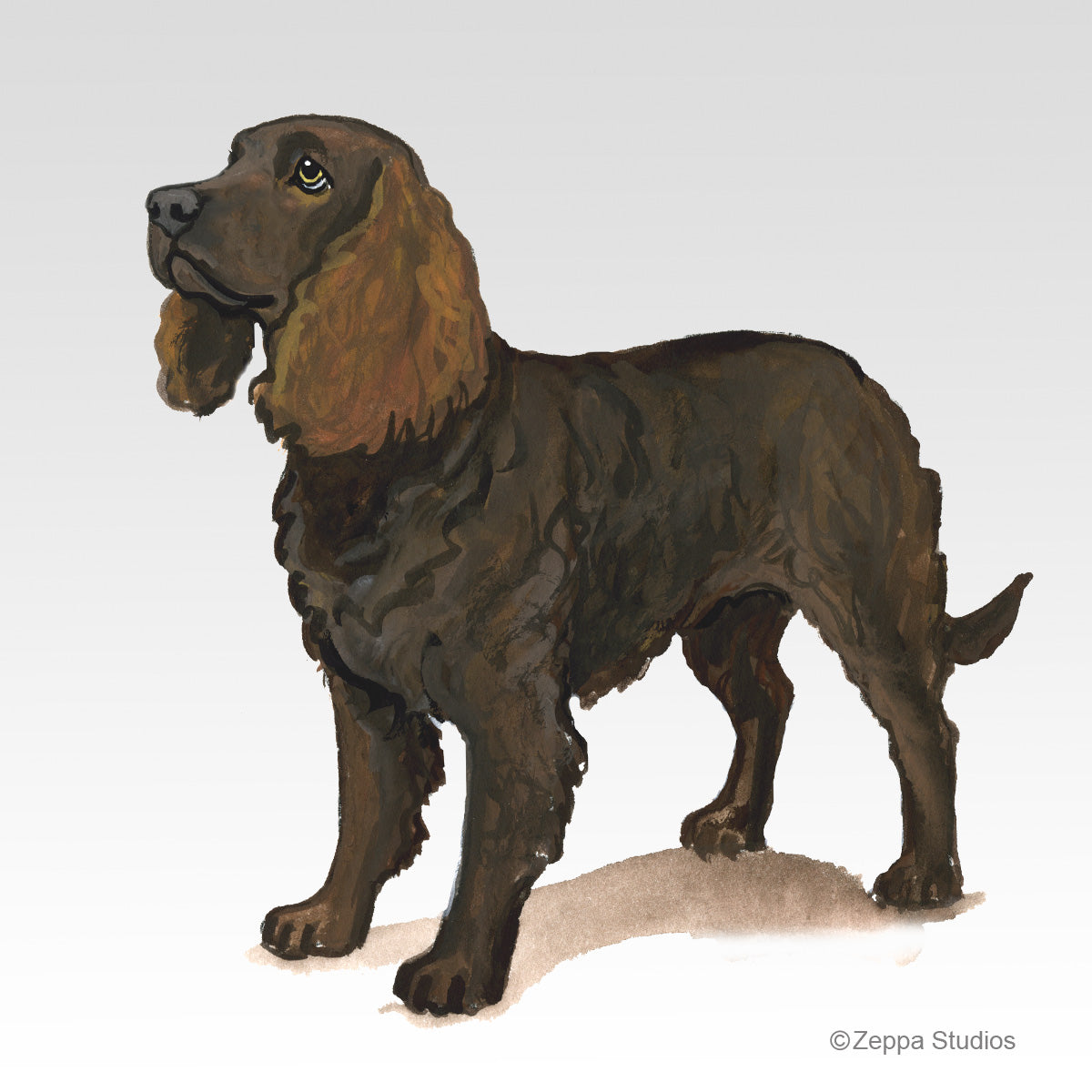 Link to American Water Spaniel Gifts