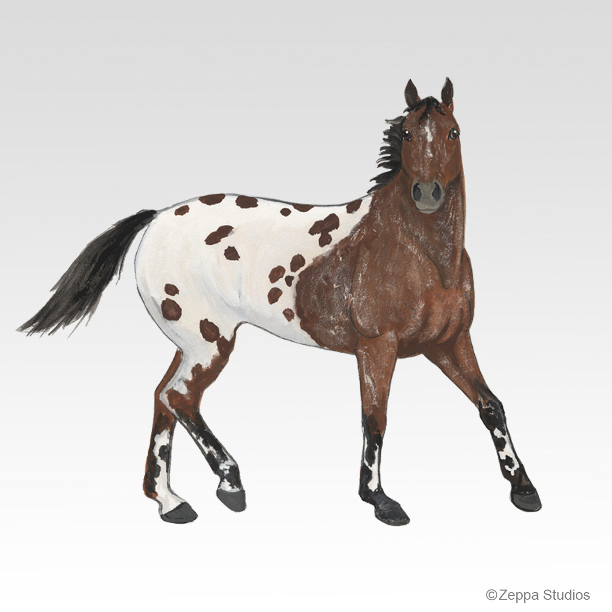 Appaloosa Horse Gift Collection