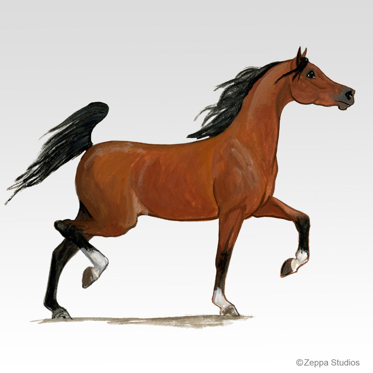 Link to Arabian Horse Gifts