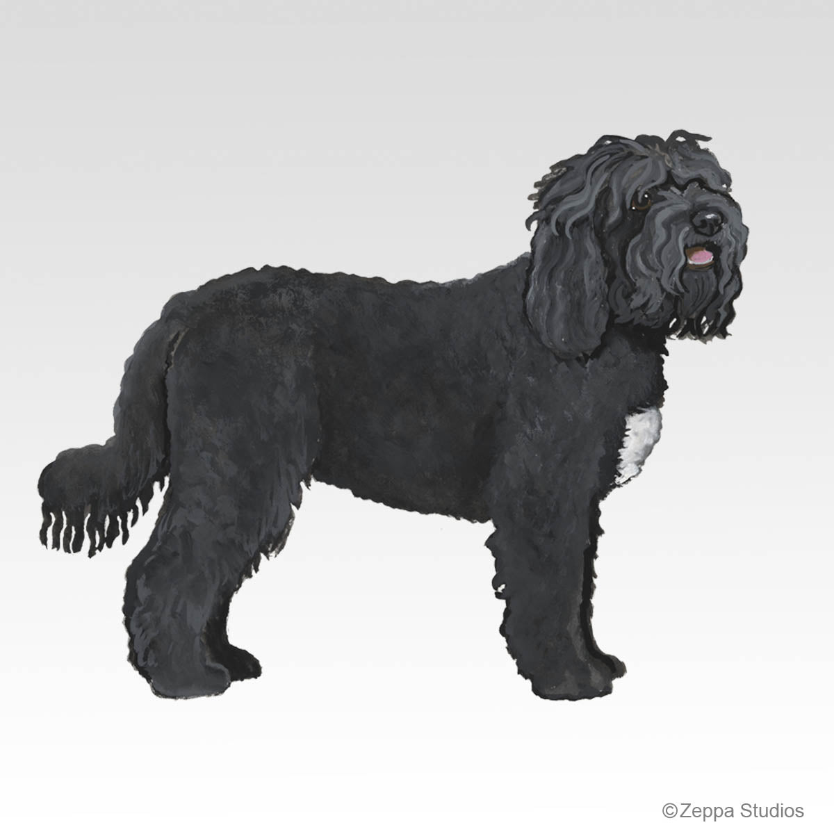 Barbet Design
