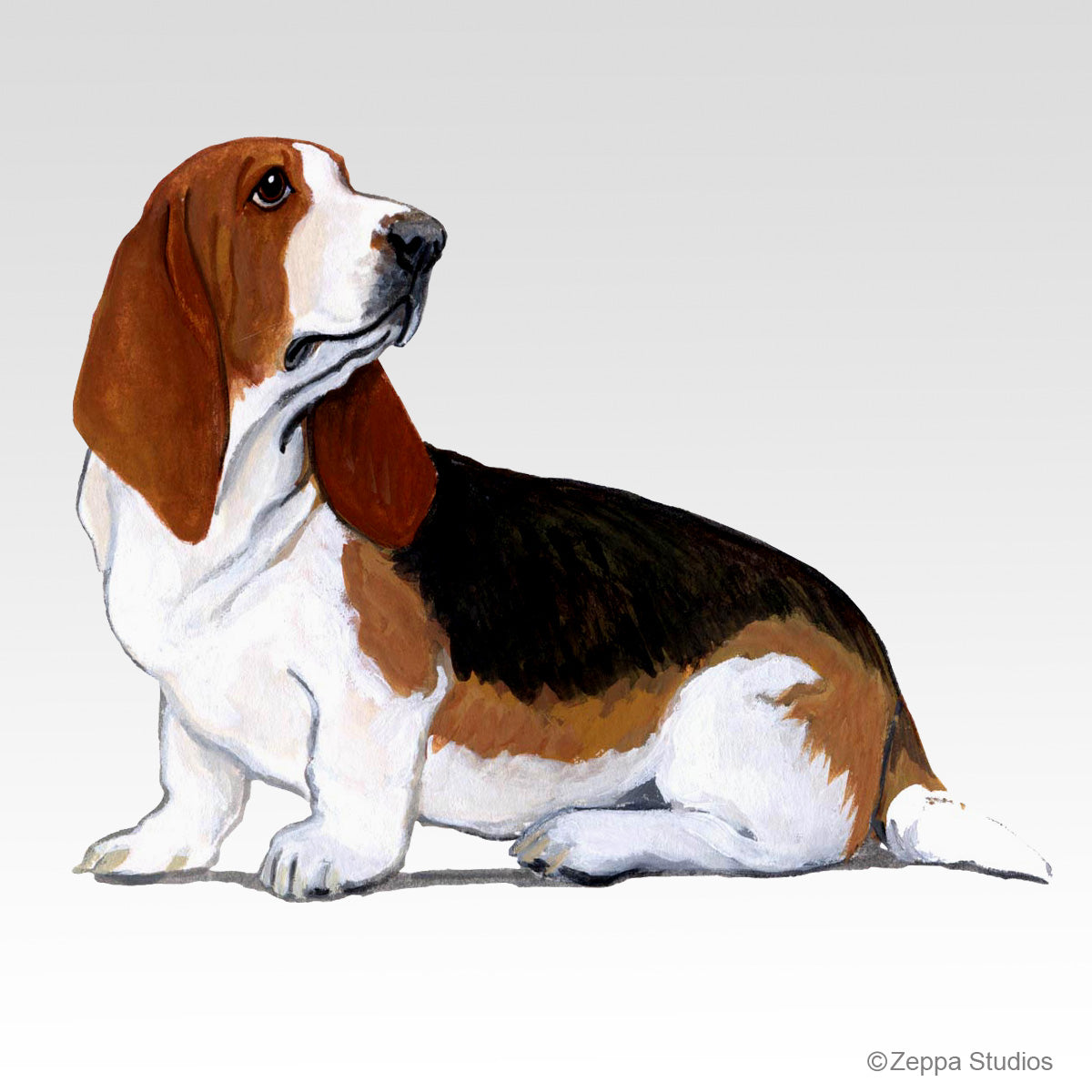 Link to Basset Hound Gifts