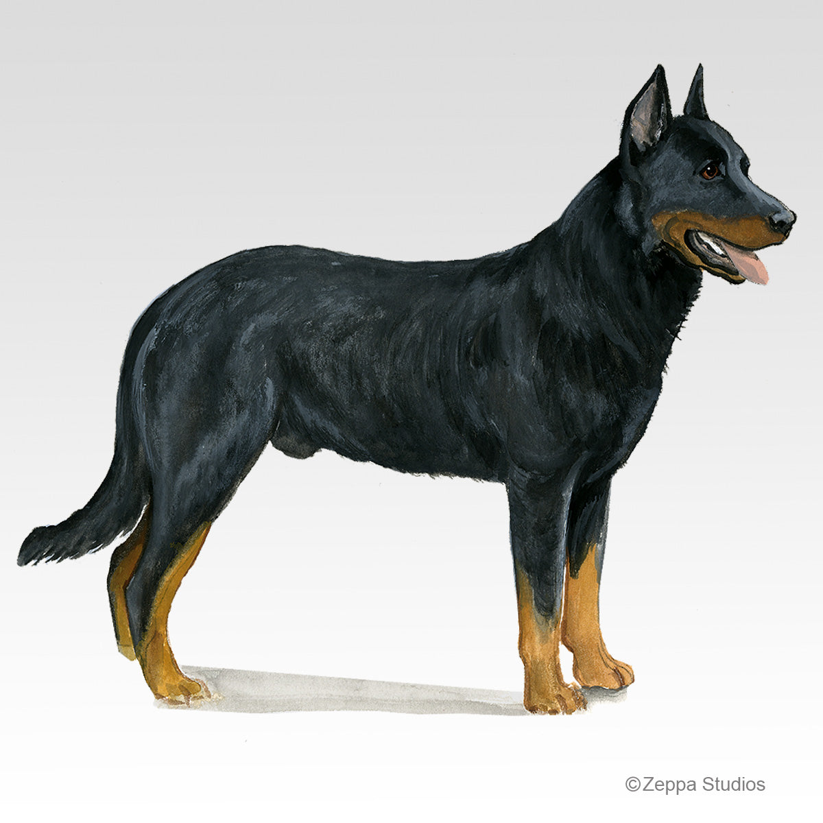 Link to Beauceron Gifts