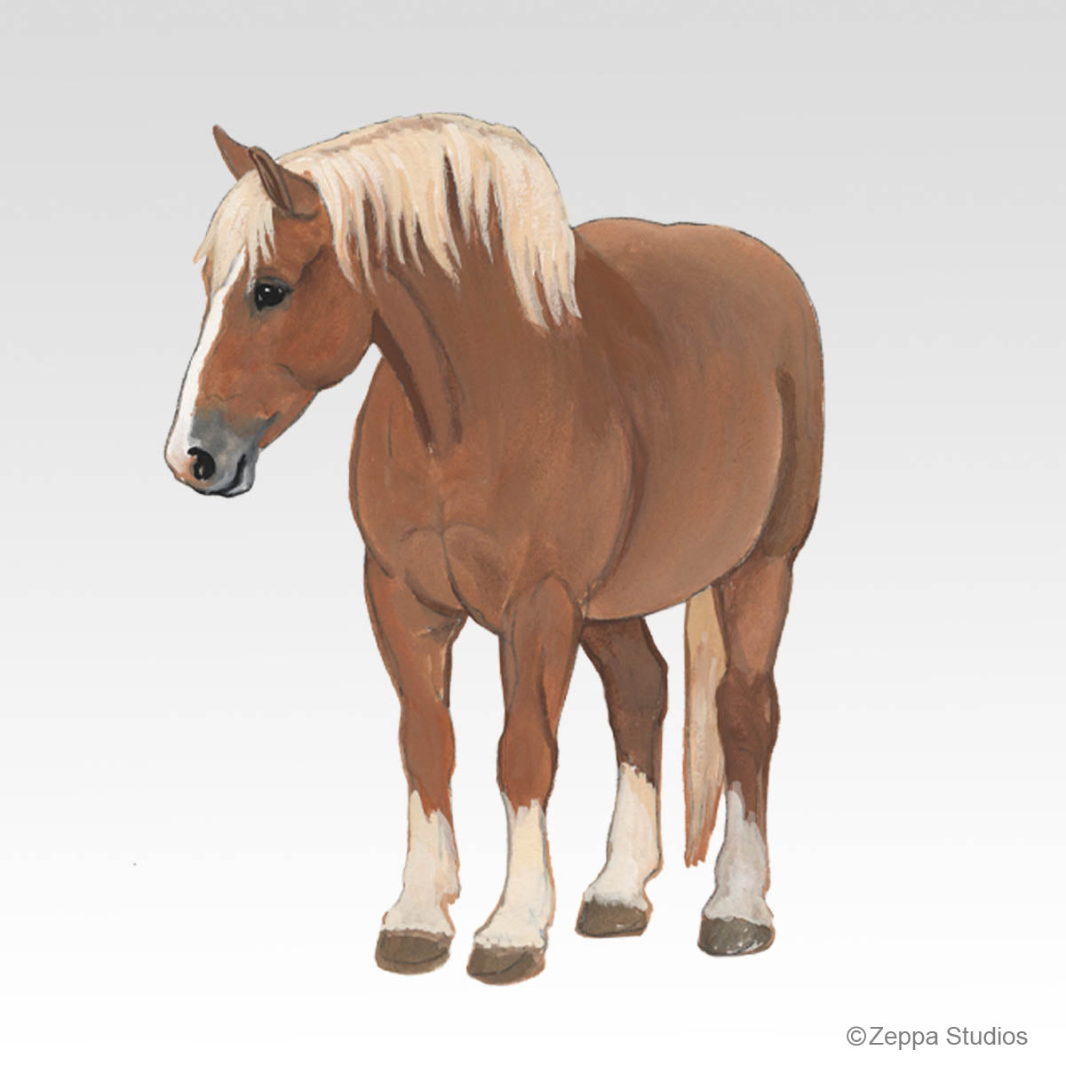Belgian Horse Gift Collection