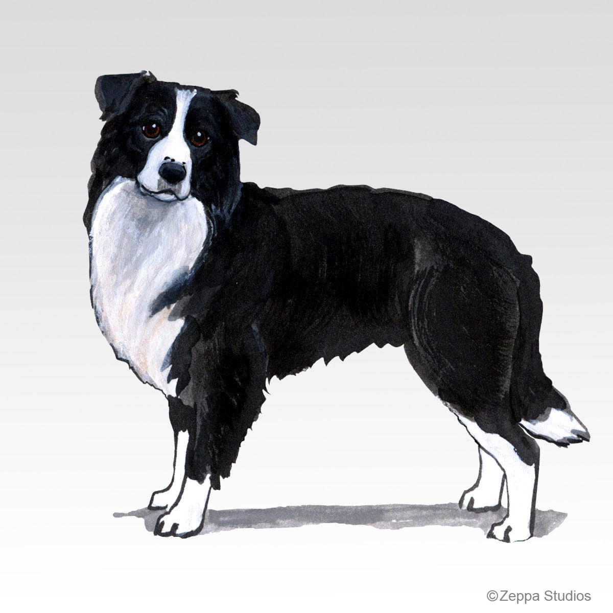 Link to Border Collie Gifts