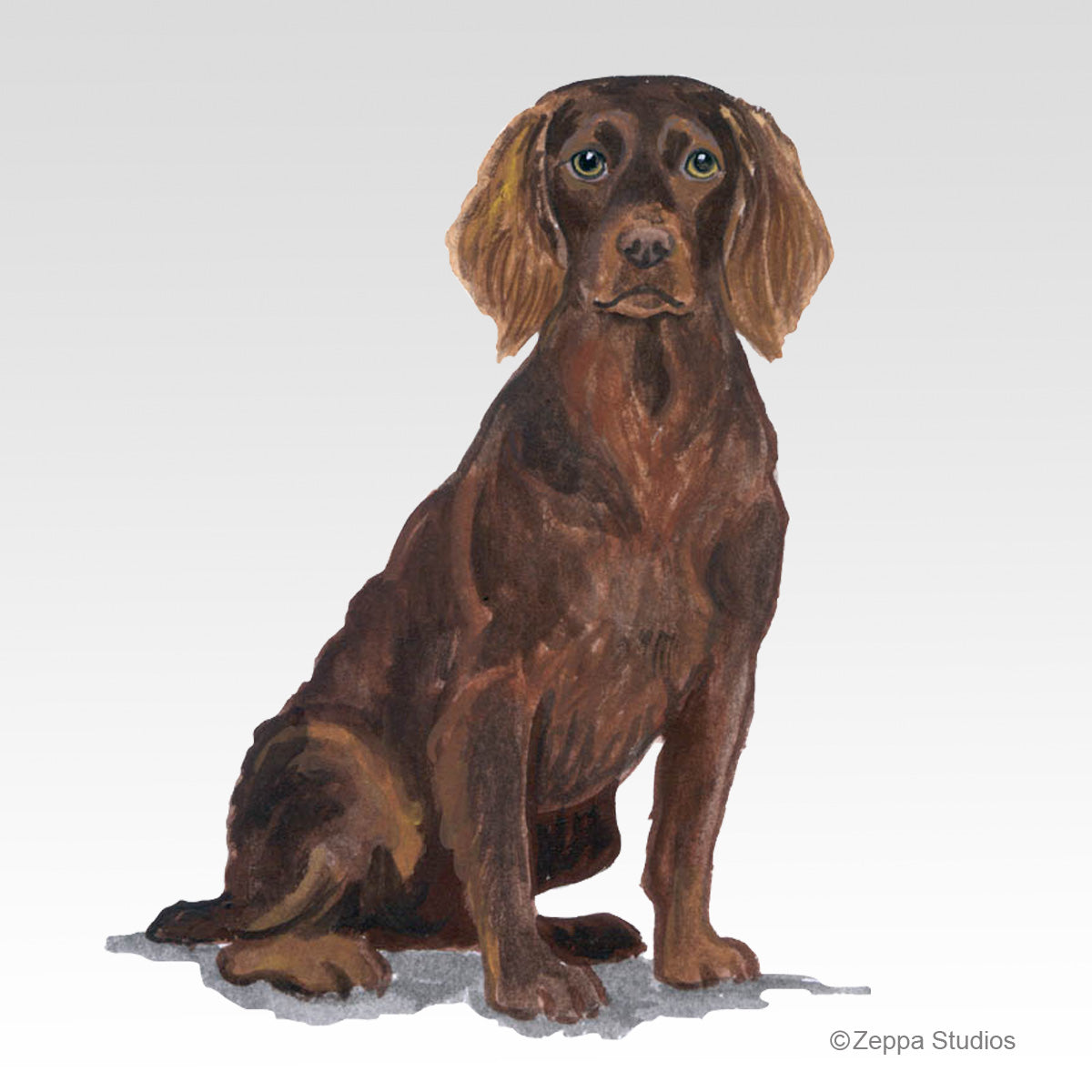 Link to Boykin Spaniel Gifts