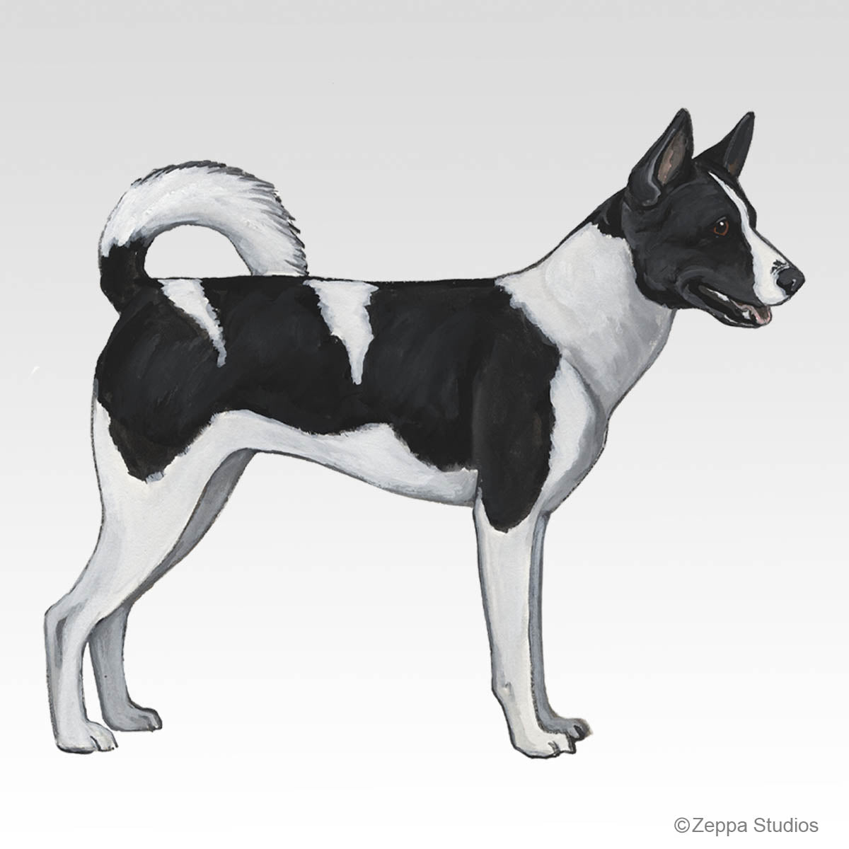 Canaan Dog Gifts