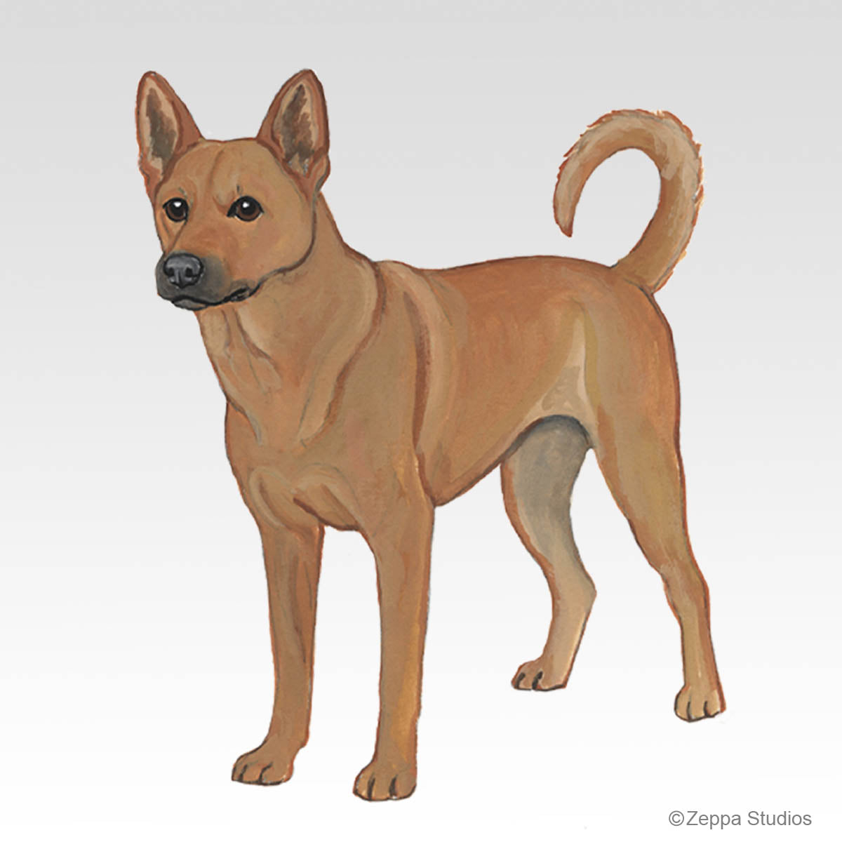 Carolina Dog Gift Collection