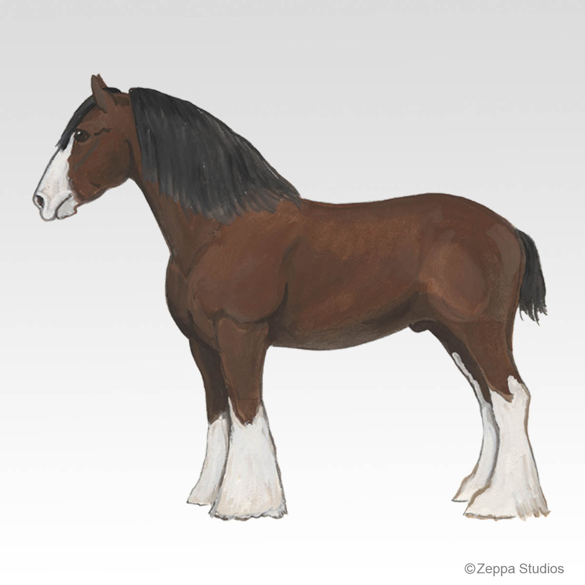 Gifts featuring the Clydesdale