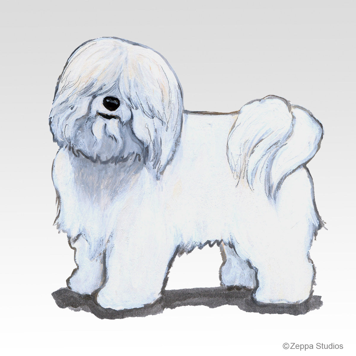 Link to Coton du Tulear Gifts