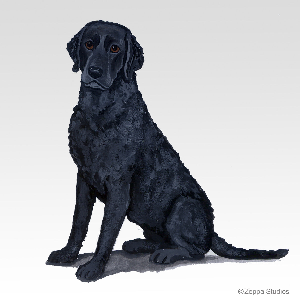 Link to Curly-Coated Retriever Gifts