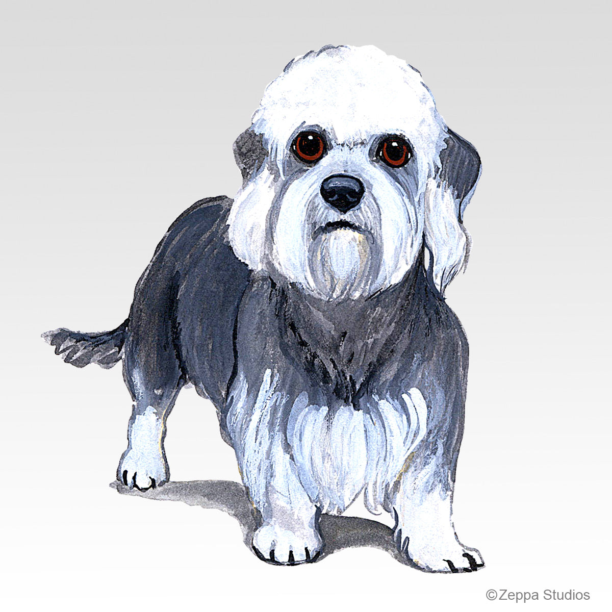 Link to Dandi Dinmont Terrier Gifts