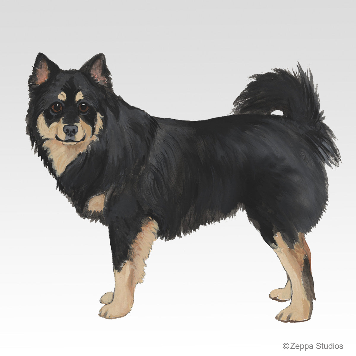 Finnish Lapphund Gifts Collection