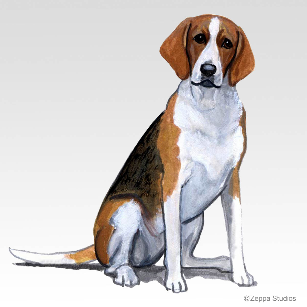American Foxhound Gifts
