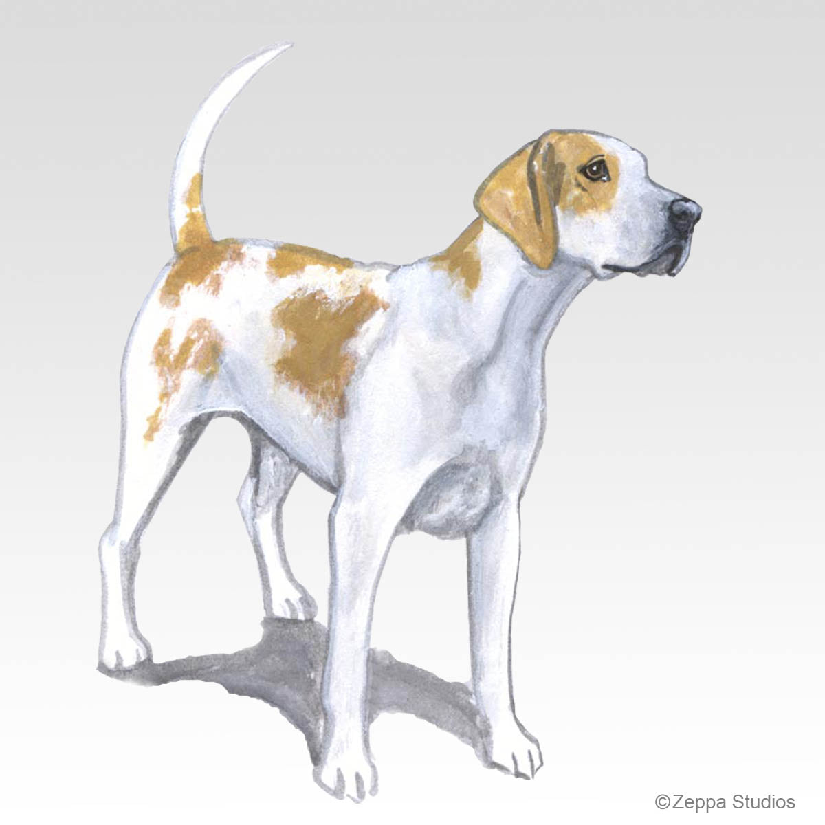 English Foxhound Gifts