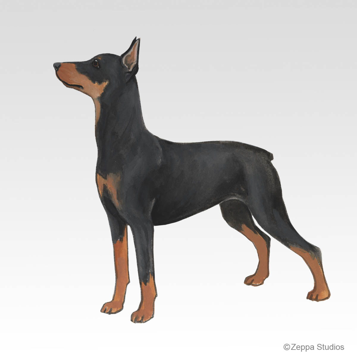 German Pinscher Gift Collection