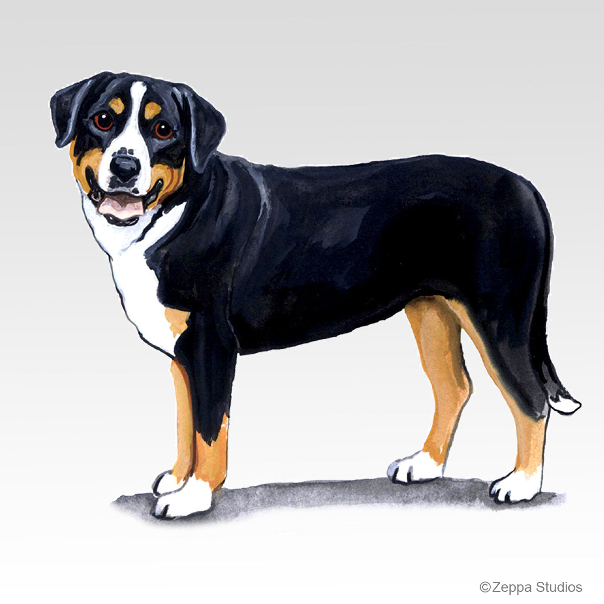 Link to Greater Swiss Mountain Dog Gifts