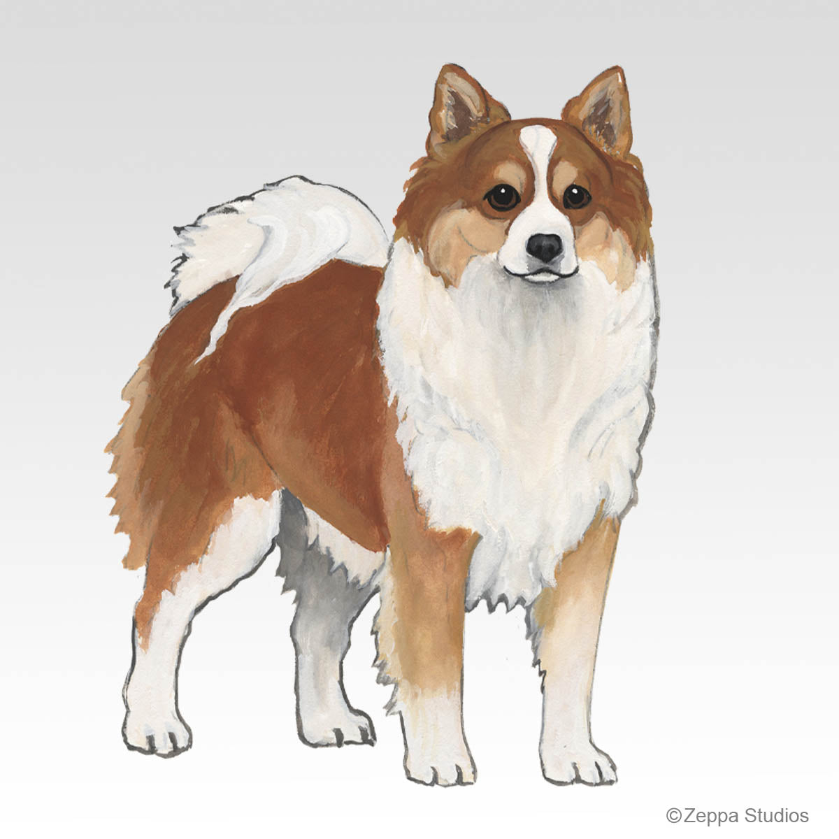 Icelandic Sheepdog Gifts
