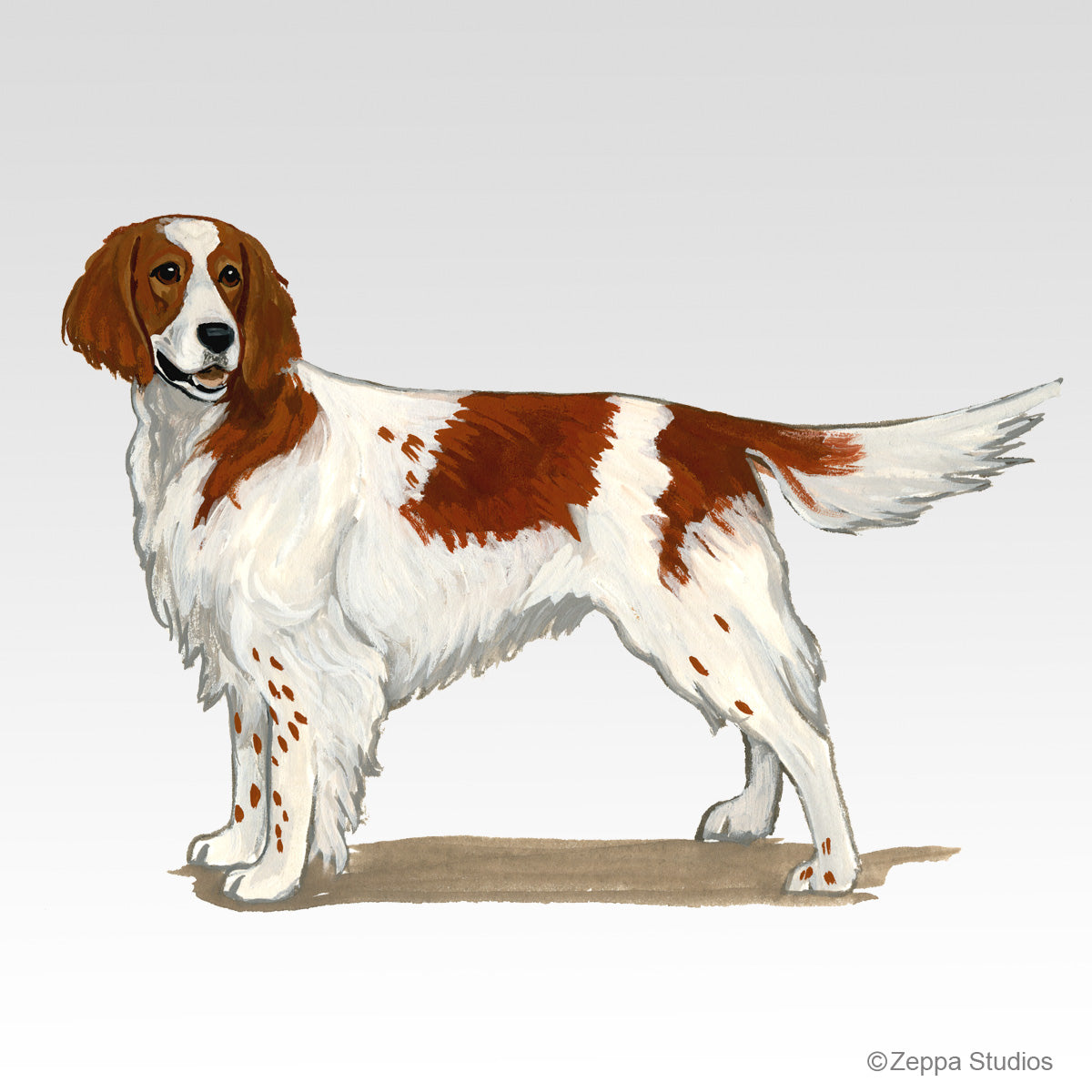 Link to Irish Red and White Setter Gifts