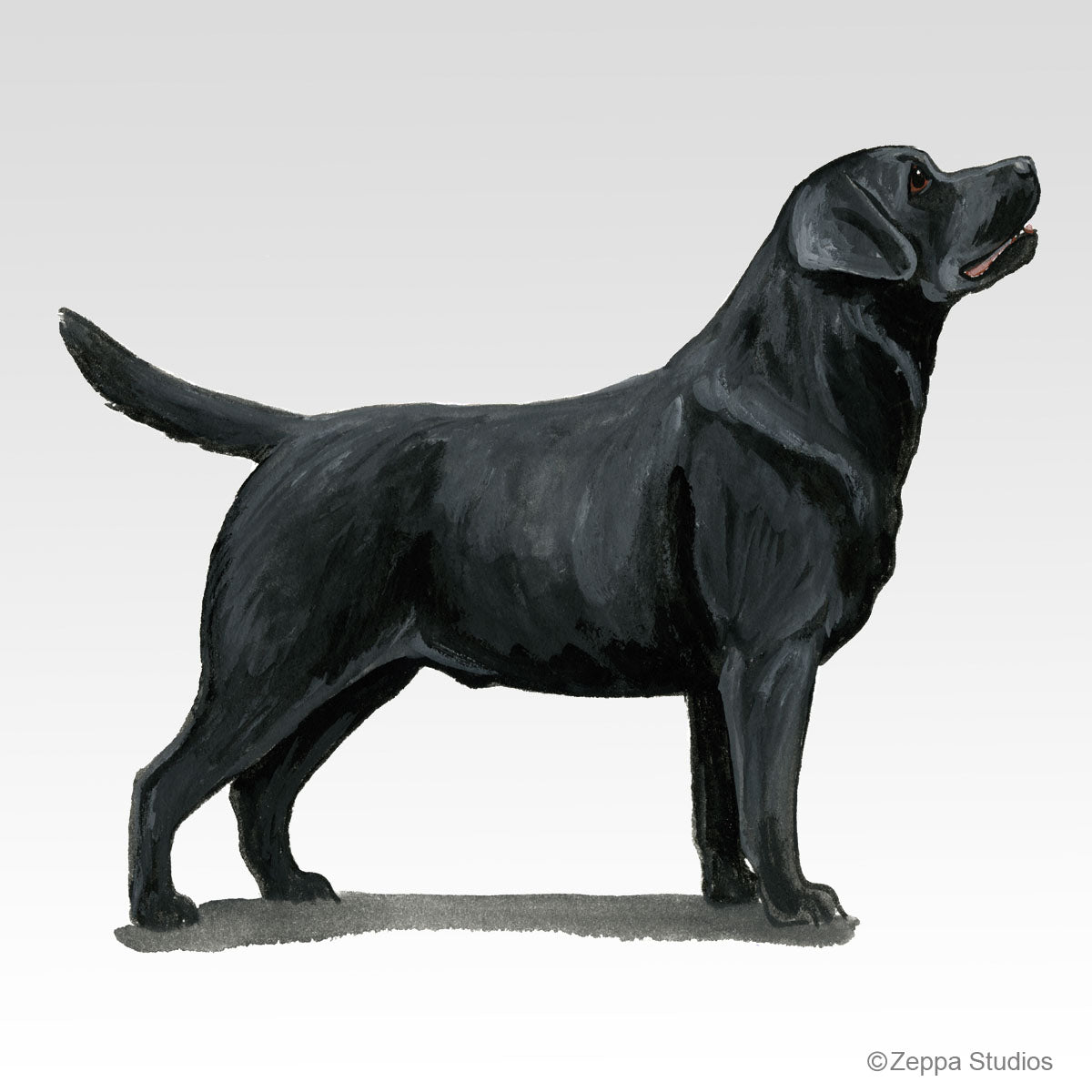 Labrador Retriever, Black Gifts