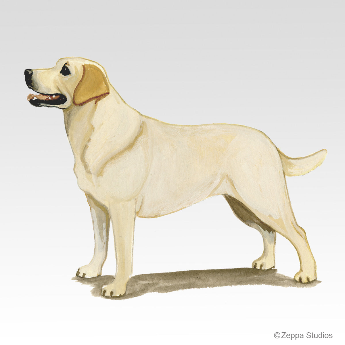 Link to Yellow Lab Gifts
