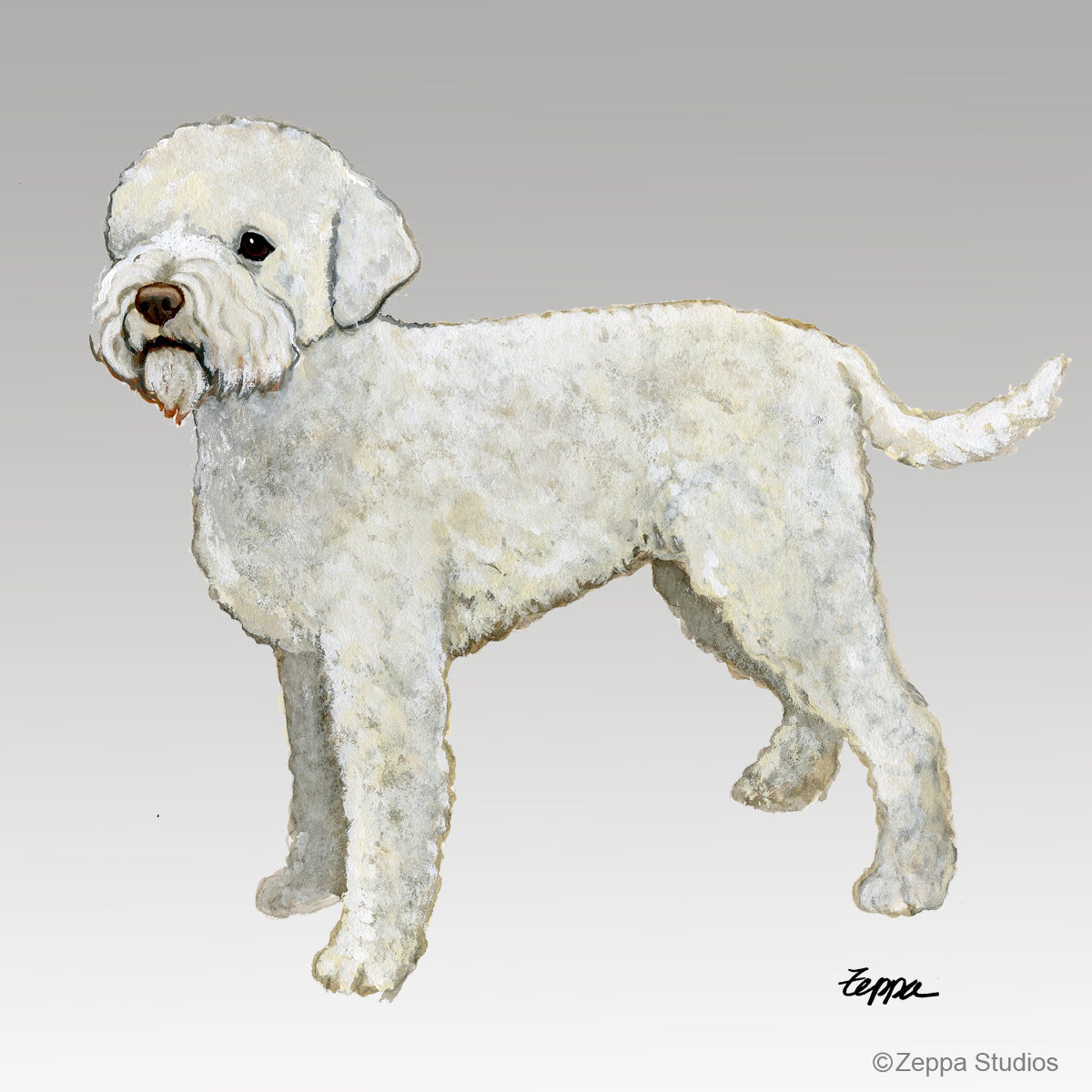 Lagotto Romagnolo Gift Category