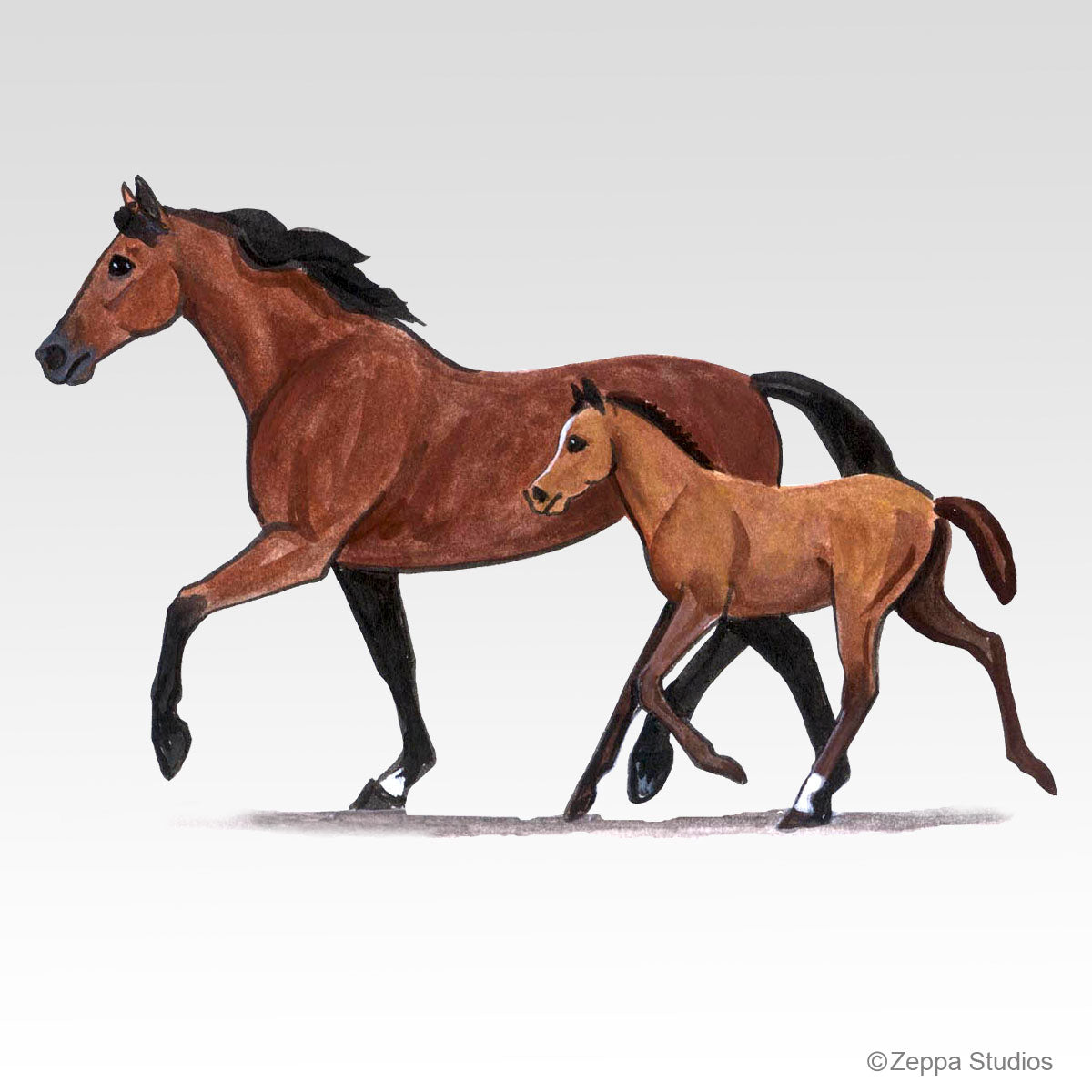 Link to Mare & Foal Gifts