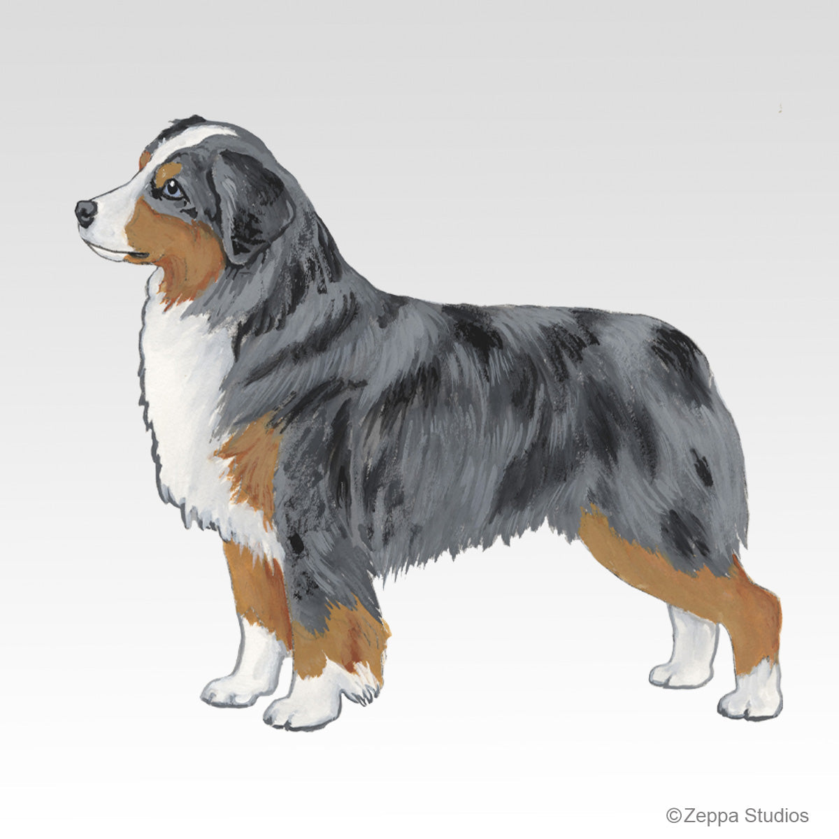 Miniature American Shepherd Gift Category