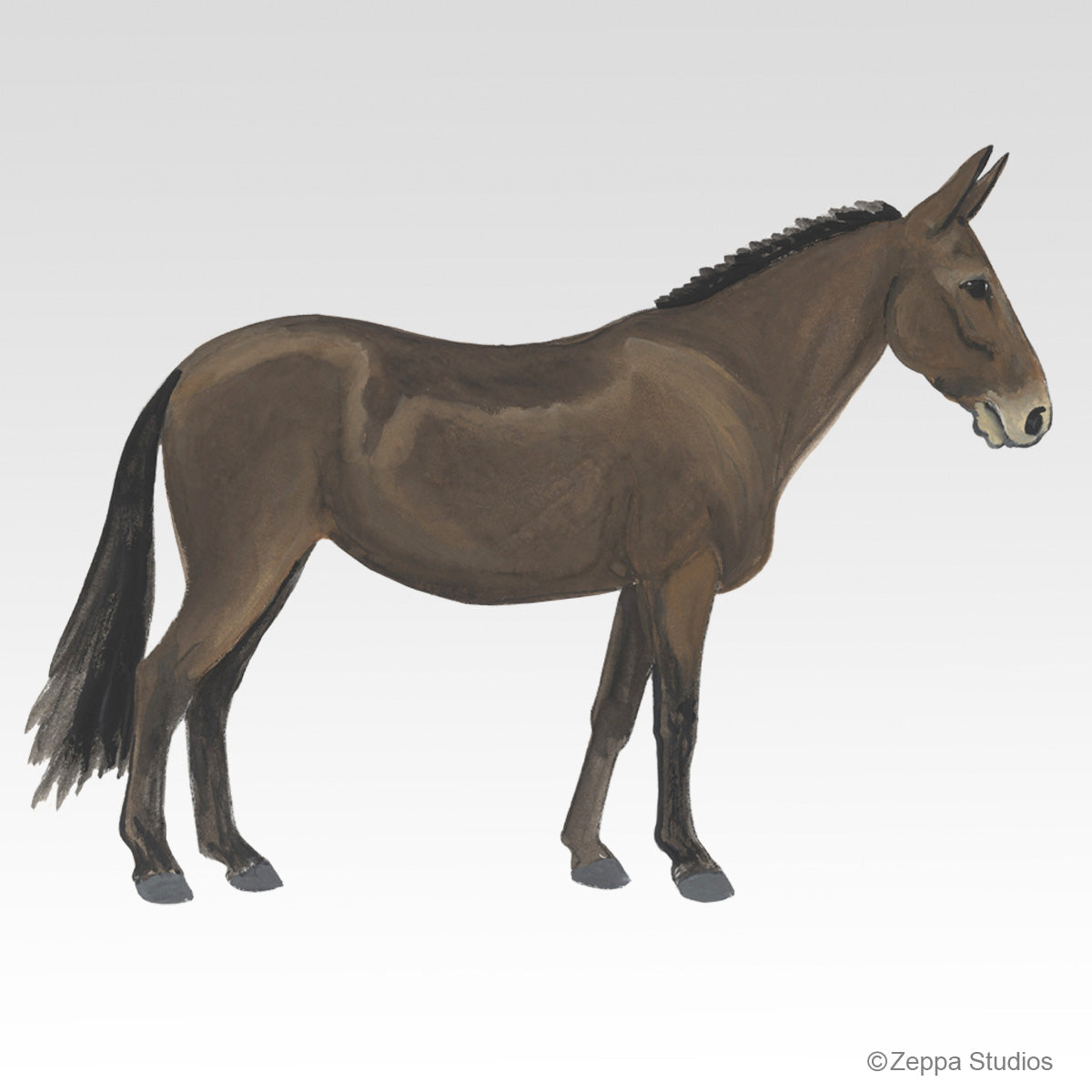 Mule Gifts
