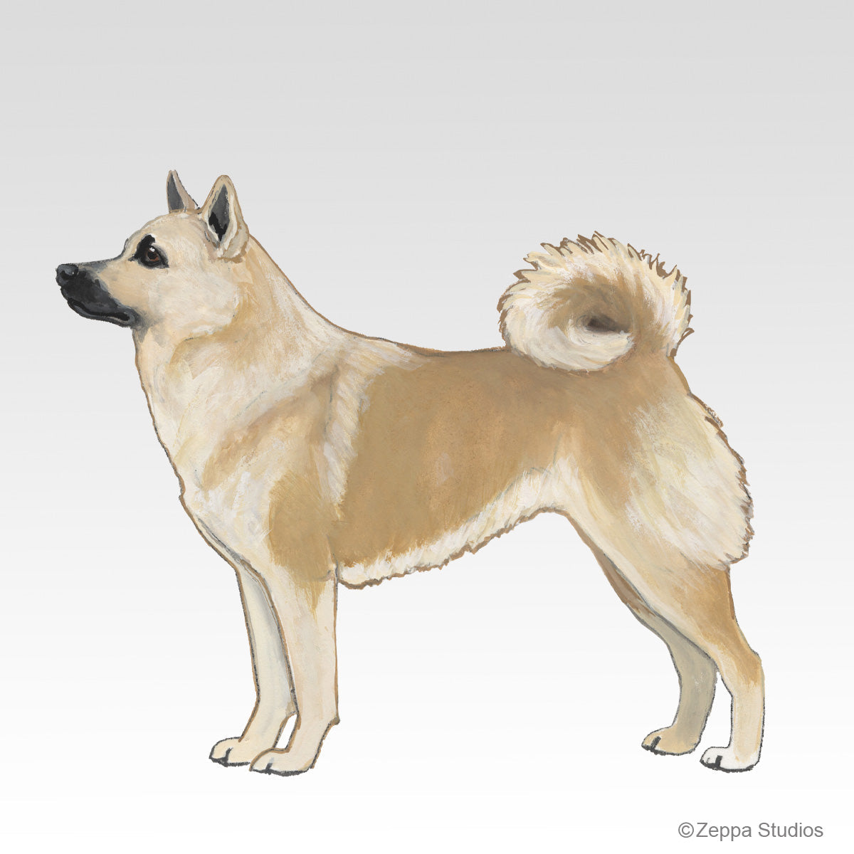 Norwegian Buhund Gift Collection