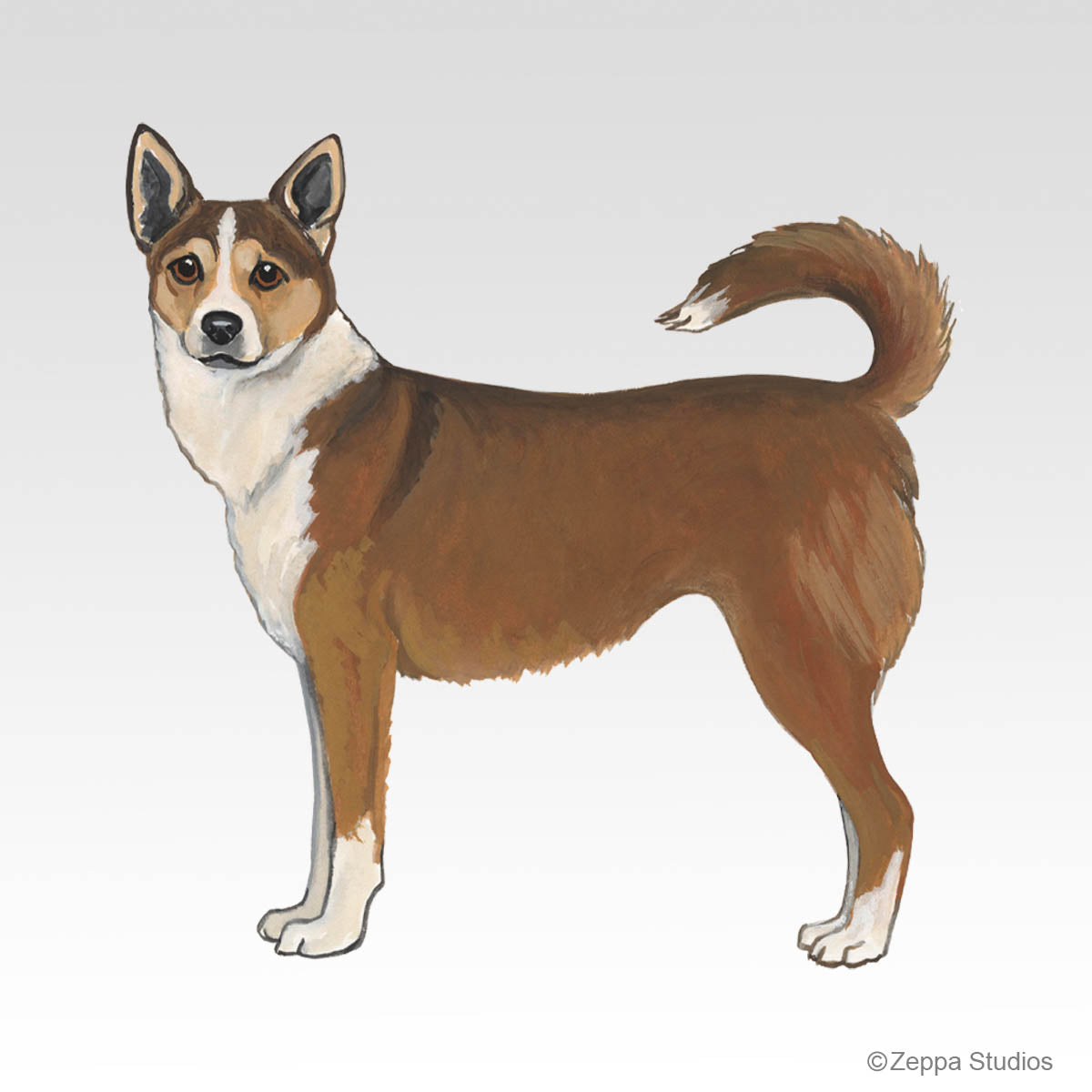 Norwegian Lundehund Gift Collection