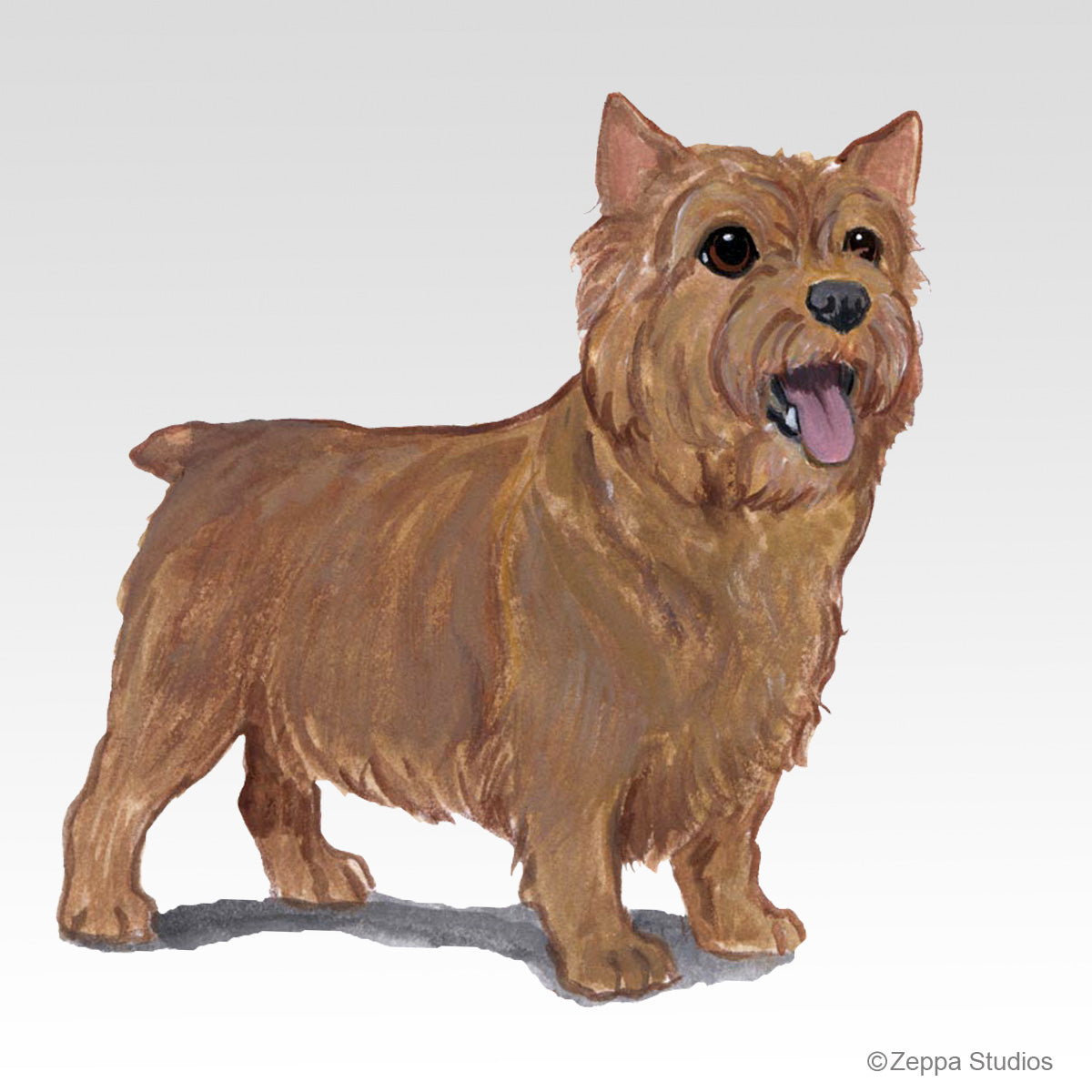 Link to Norwich Terrier Gifts