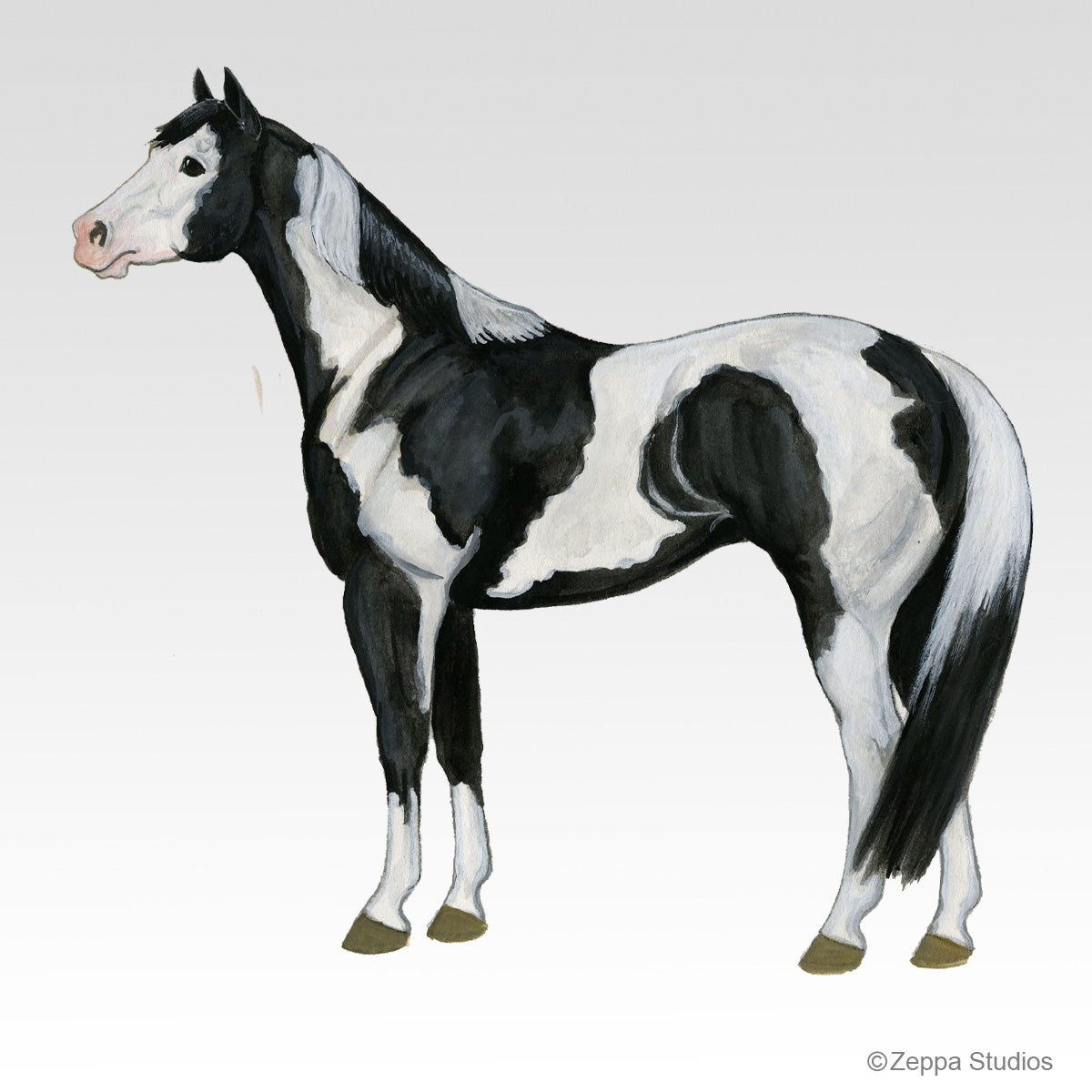 Link to Paint Horse Gifts