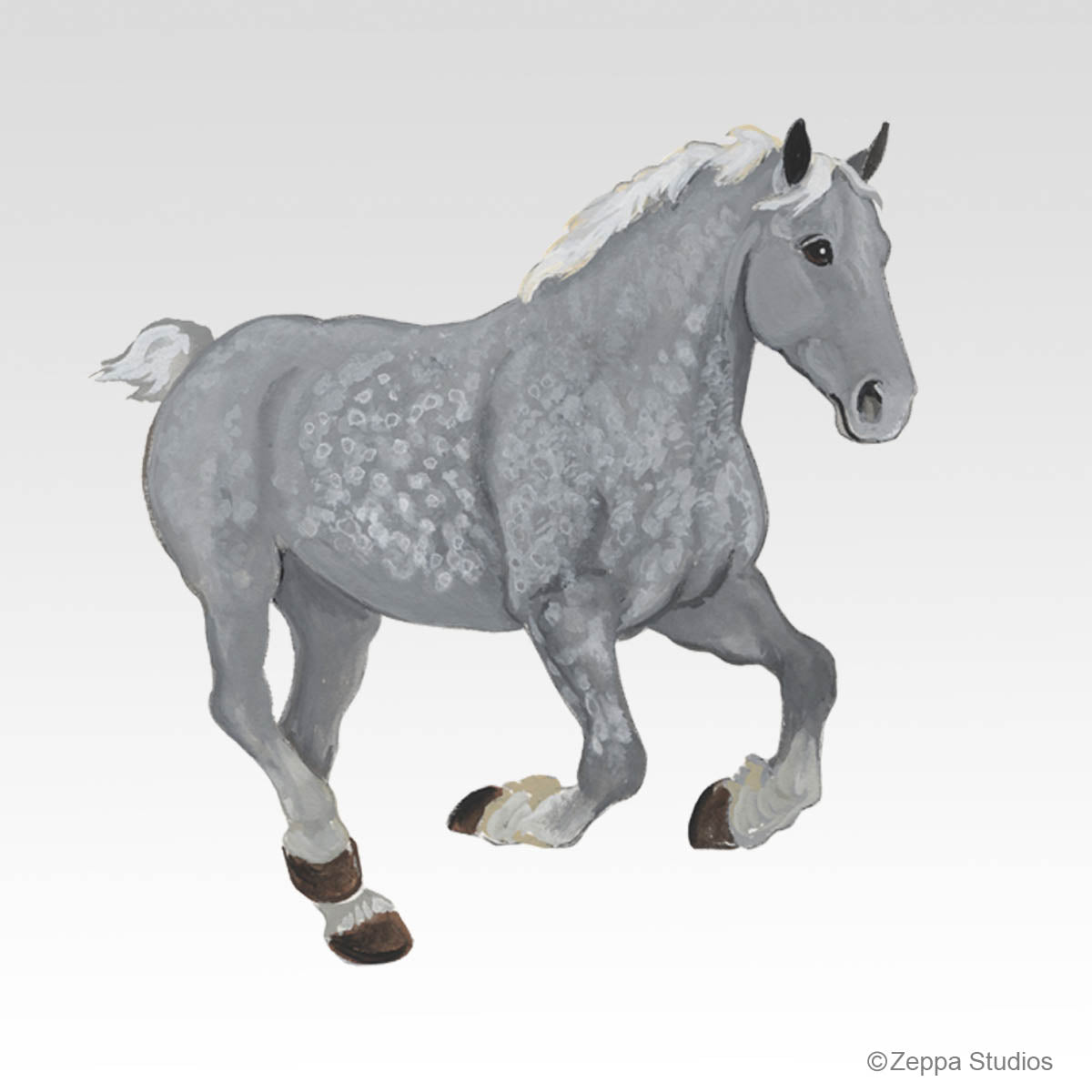Percheron Gift Collection