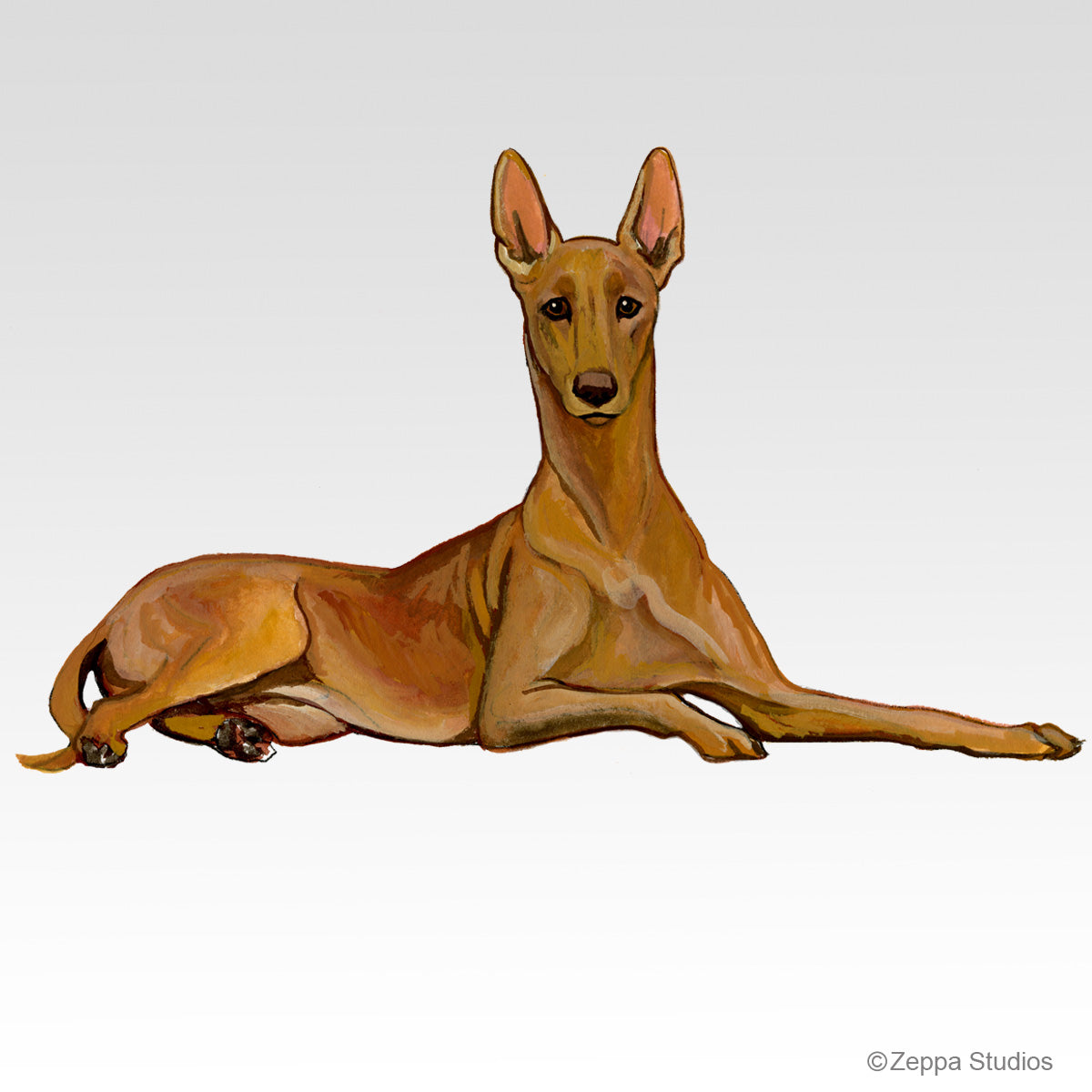 Link to Pharaoh Hound Gifts