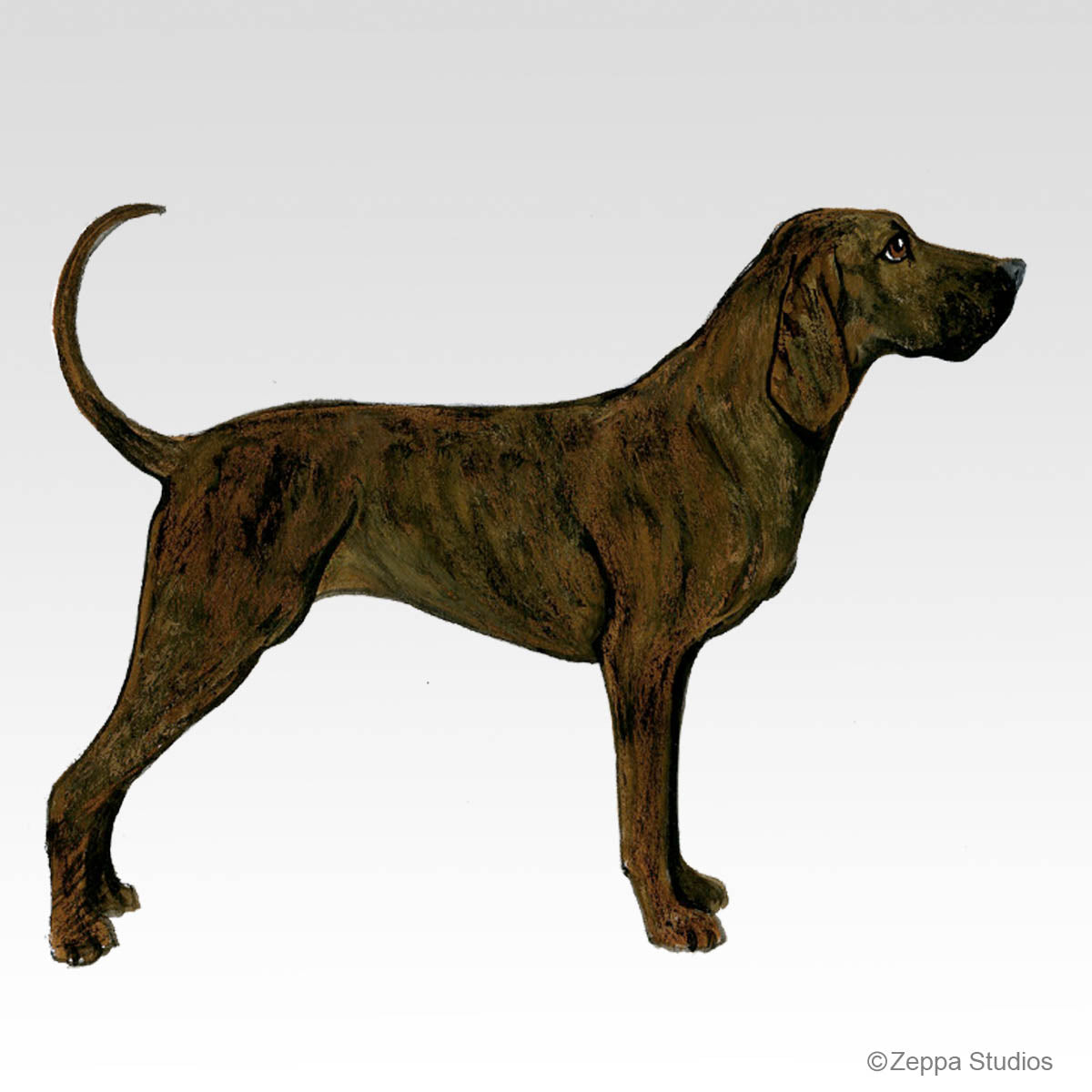 Plott Hound Gift Collection