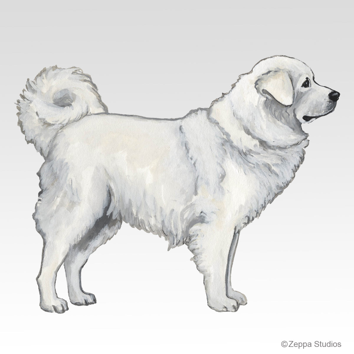 Polish Tatra Sheepdog Gift Collection