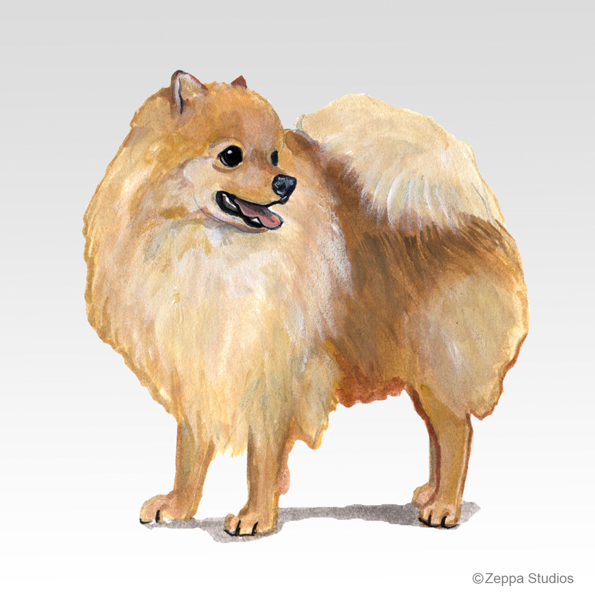 Link to Pomeranian Gifts