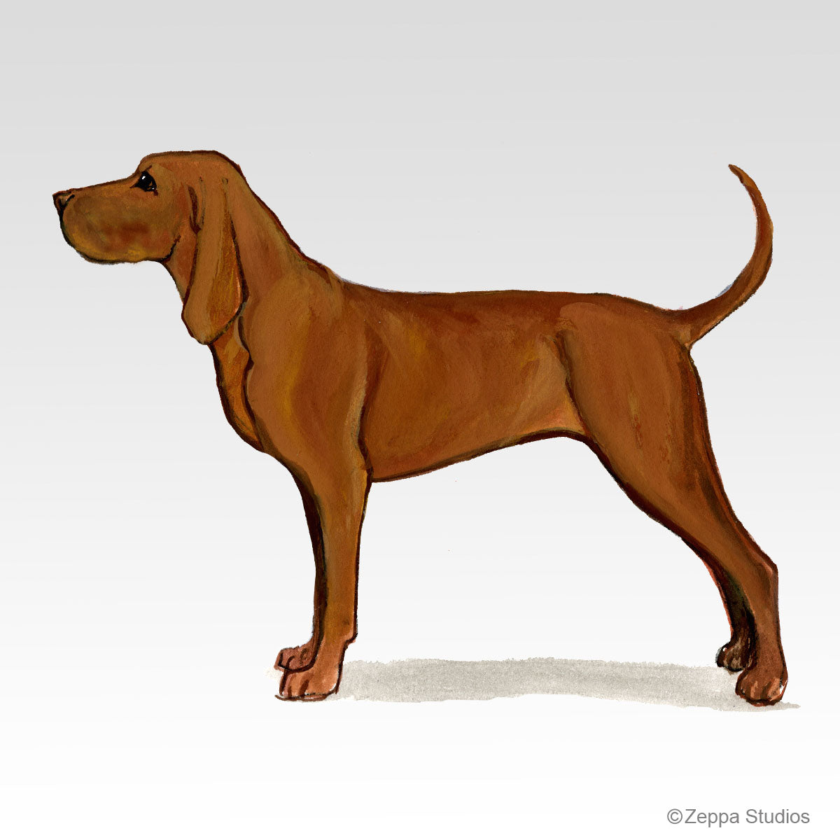 Redbone Coonhound Gifts