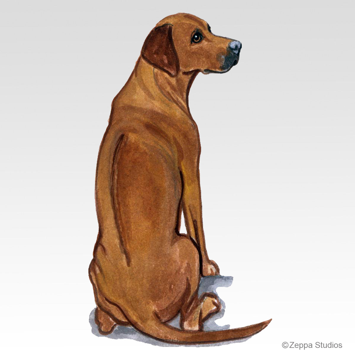 Buy Rhodesian Ridgeback Dog Breed Note Cards and Gifts On-line – Zeppa ...