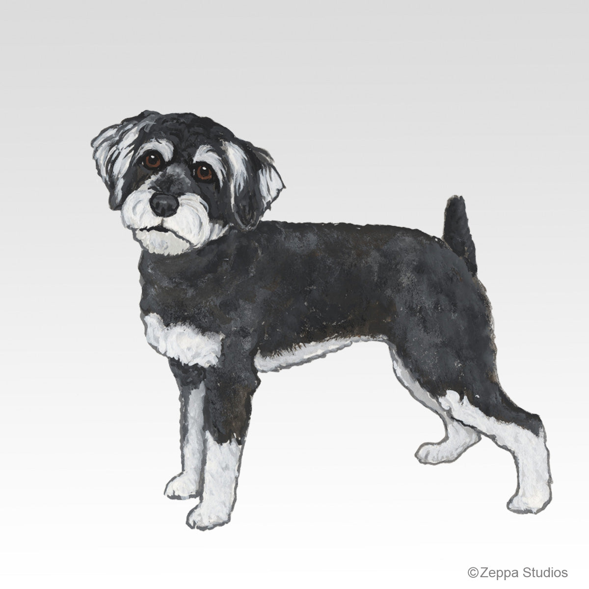 Schnoodle Gift Category