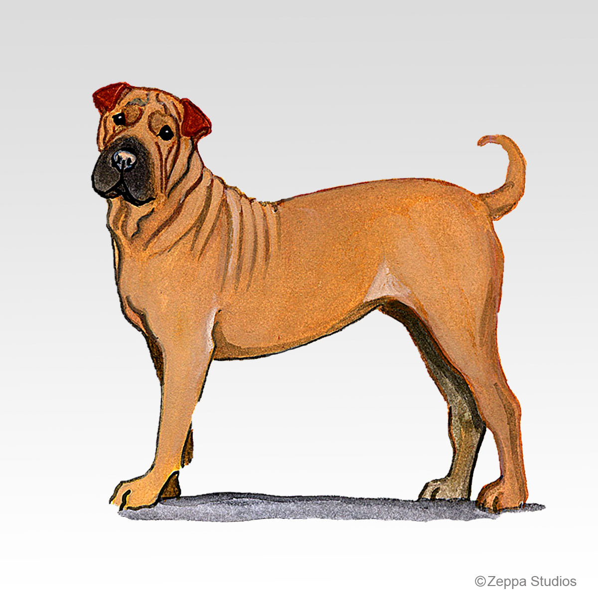 Link to Shar-Pei Gifts