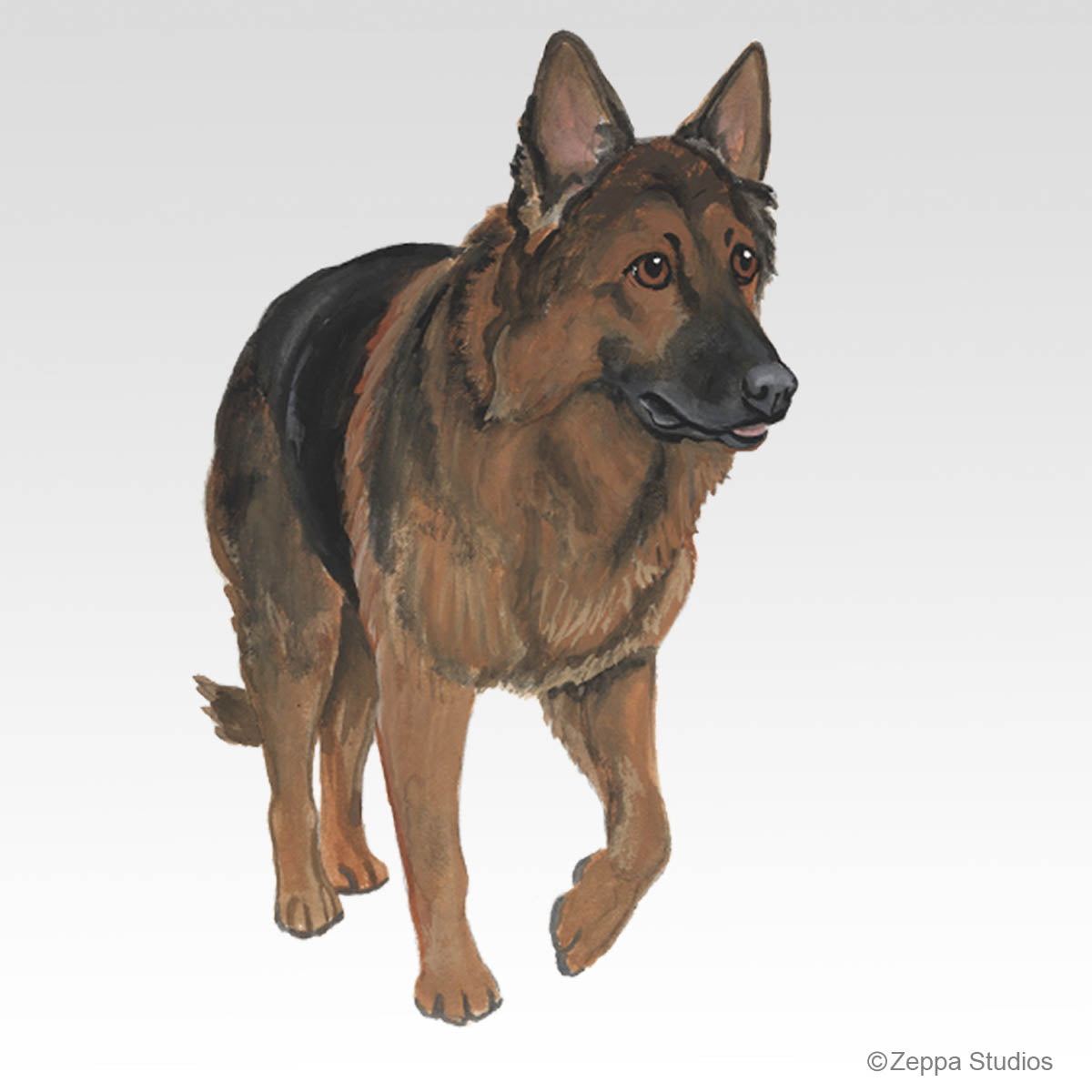 Shiloh Shepherd illustration