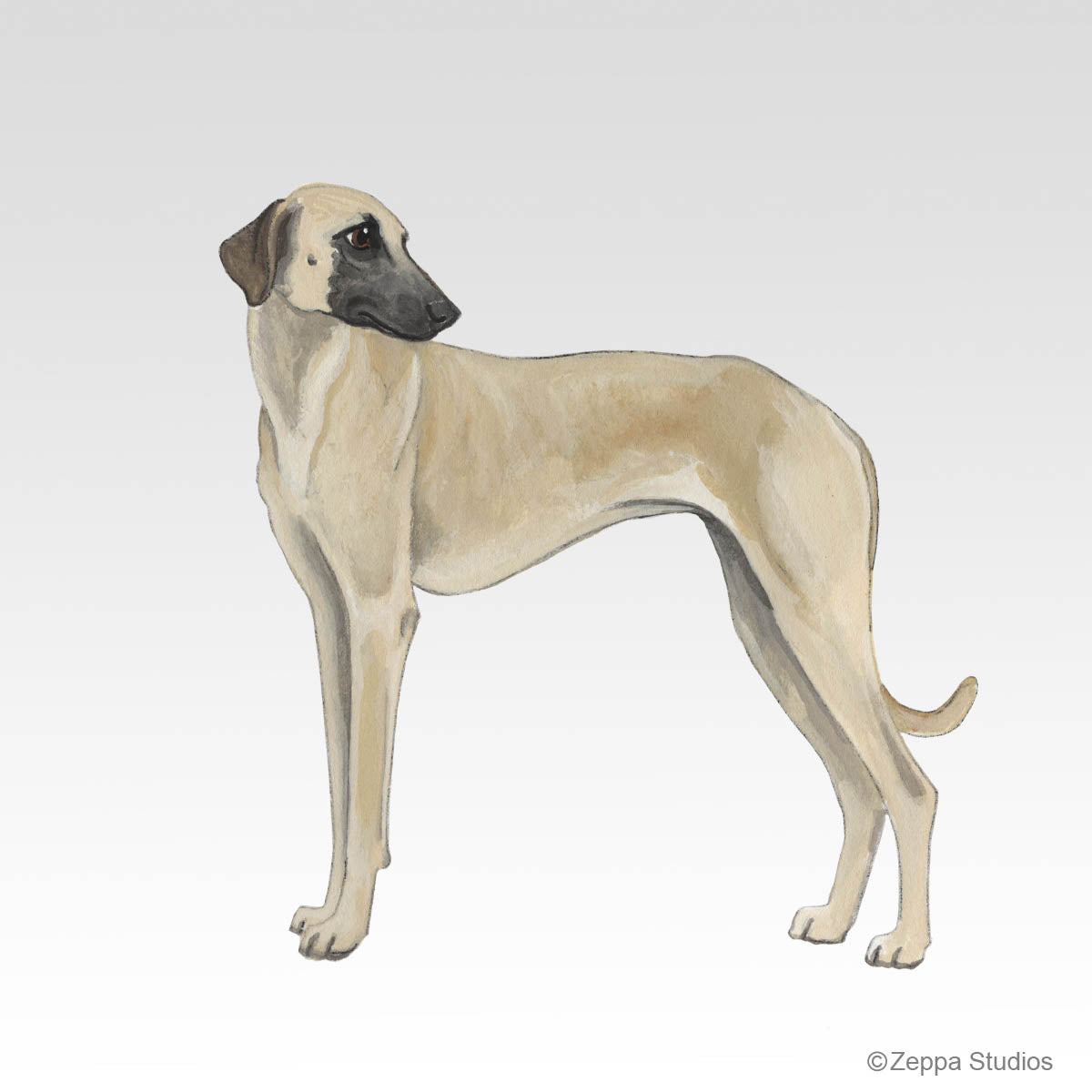 Sloughi Dog Breed Design