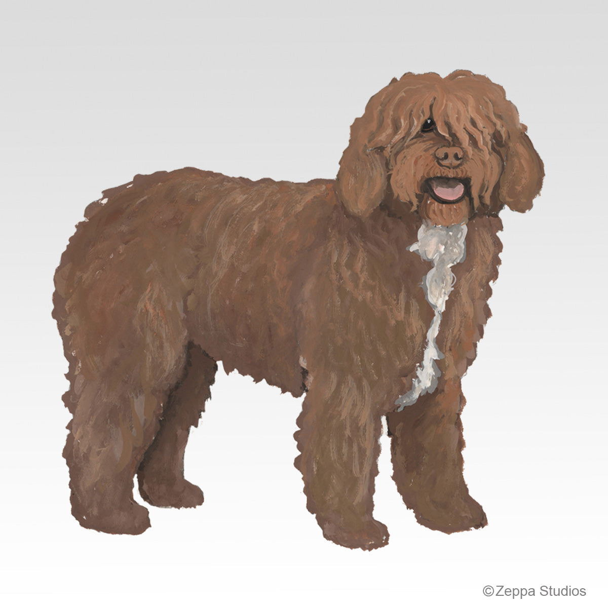 Spanish Water Dog Gift Collection