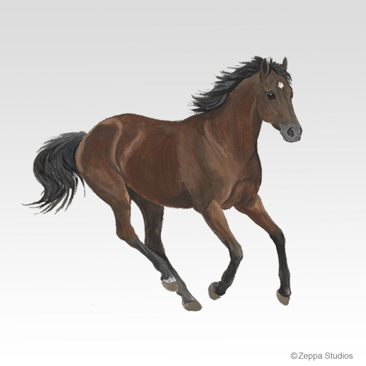 Thoroughbred Horse Gift Collection