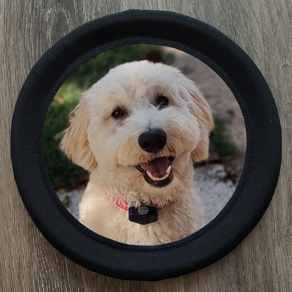 Custom FotoFrisby with a Golden Doodle