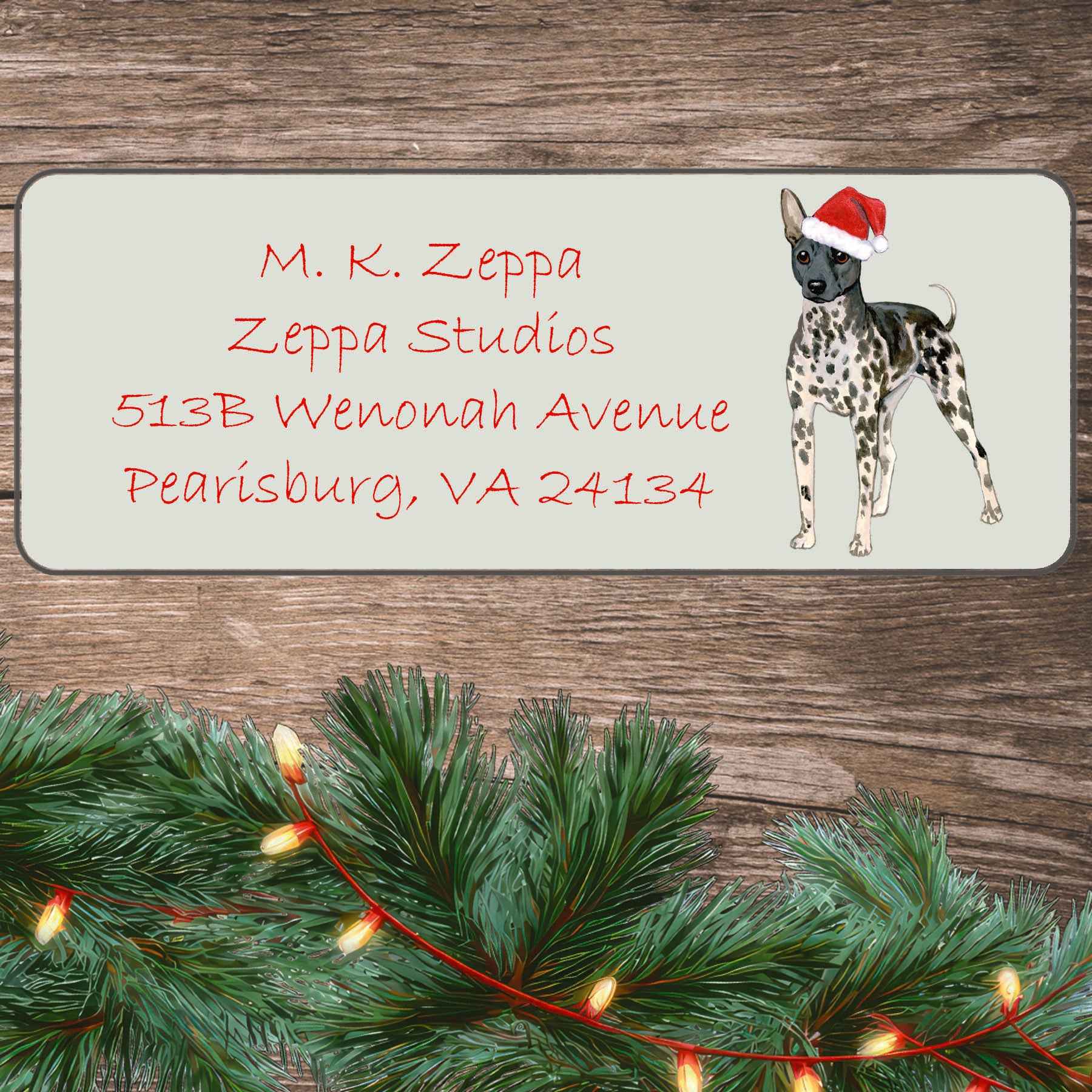 An American Hairless Terrier in a Santa Hat illustration on an ivory return address label set off by a wood surface with holiday greenery background.